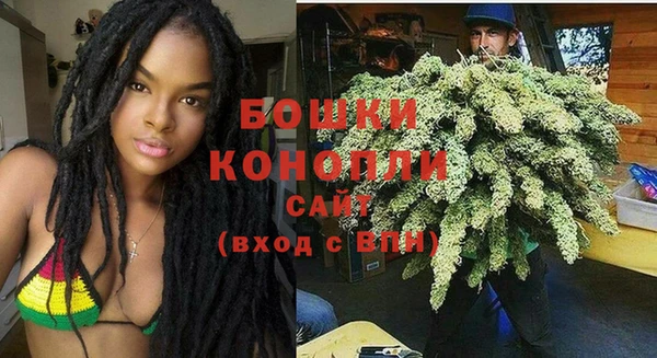 дживик Пересвет